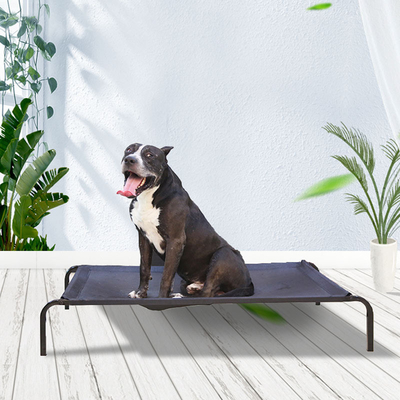 Removable And Washable Mesh Pet Camp Bed Dog Steel Frame Bed Moisture-Proof