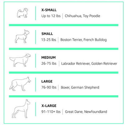 Clear Top Load Two Door 2kg Pet Carrier Cage
