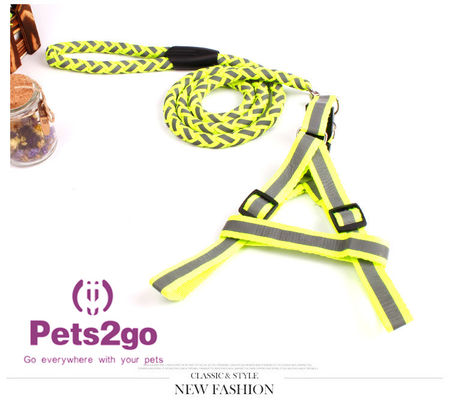 Pet Training  Dog Shock Collar Puppies Tools Basic Concepts Learning Curve