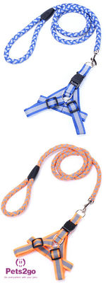Pet Training  Dog Shock Collar Puppies Tools Basic Concepts Learning Curve
