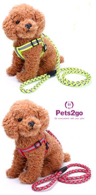 Pet Training  Dog Shock Collar Puppies Tools Basic Concepts Learning Curve