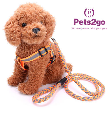 Pet Training  Dog Shock Collar Puppies Tools Basic Concepts Learning Curve