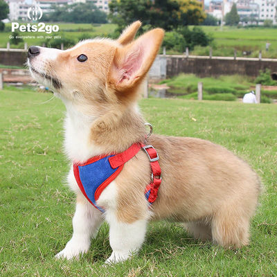 Nylon Oxford Lightweight 122G Comfort Dog Harness