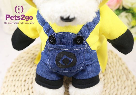 4kg M 38cm Chest Teddy Dog Apparel For Festival