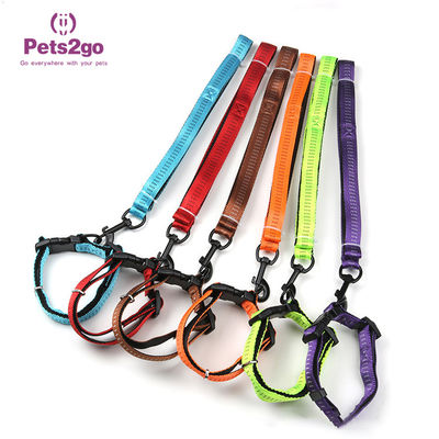 Oem Design Dog Nylon Stocked Pet Training Collars