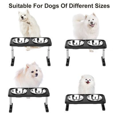 Elevated Double Raised Dog Bowls  Dog Bowl And Adjustable Food Height