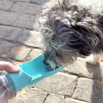 Dog Travel Water Bowl Bottle Portable For Daily Dog Walks