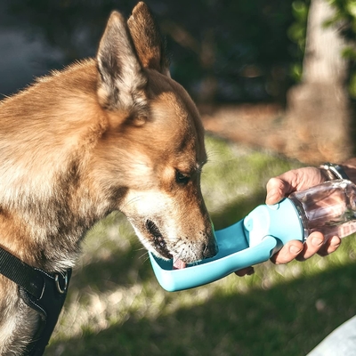 Dog Travel Water Bowl Bottle Portable For Daily Dog Walks