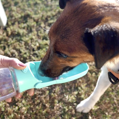 Dog Travel Water Bowl Bottle Portable For Daily Dog Walks