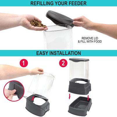 Stainless Steel Pet Food Bowls Raised Gravity Feed