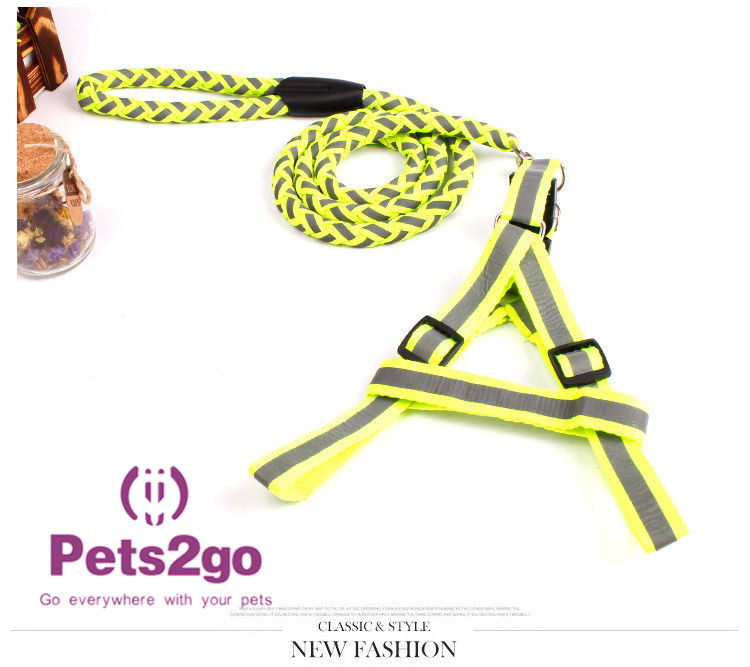 Pet Training  Dog Shock Collar Puppies Tools Basic Concepts Learning Curve