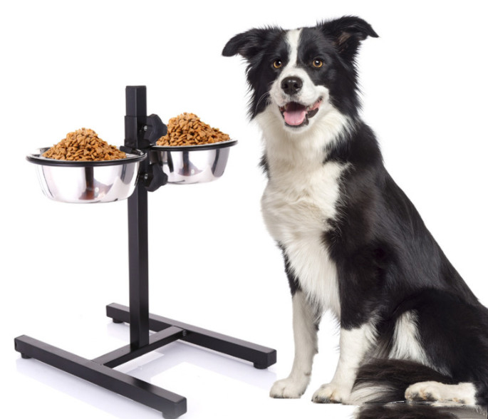 Elevated Dog Bowls Raised Pet Feeder Cat Food & Water Diner Stand Set