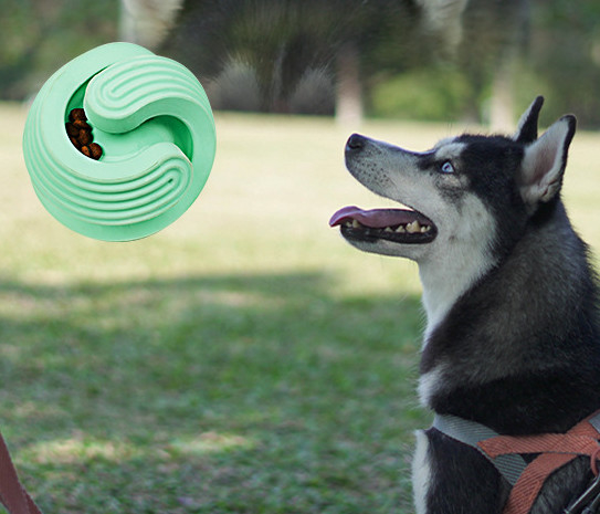 el mejor mastica los juguetes para los pequeños perros