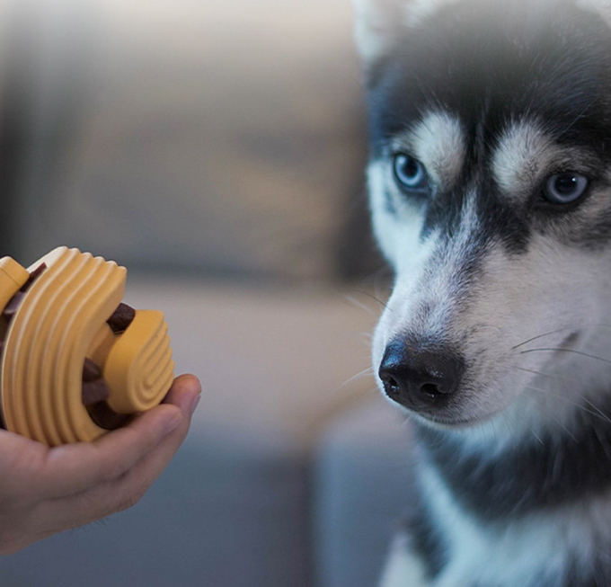 el mejor mastica los juguetes para los pequeños perros