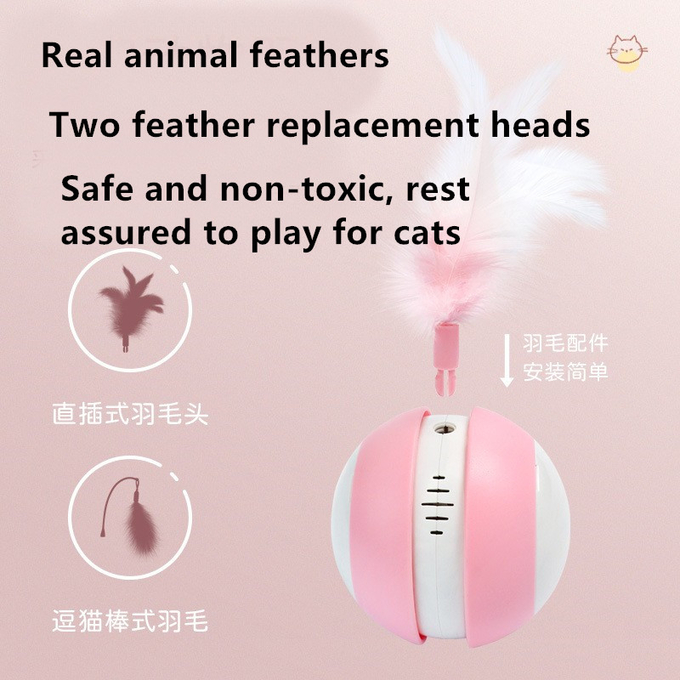  bola elegante del animal doméstico