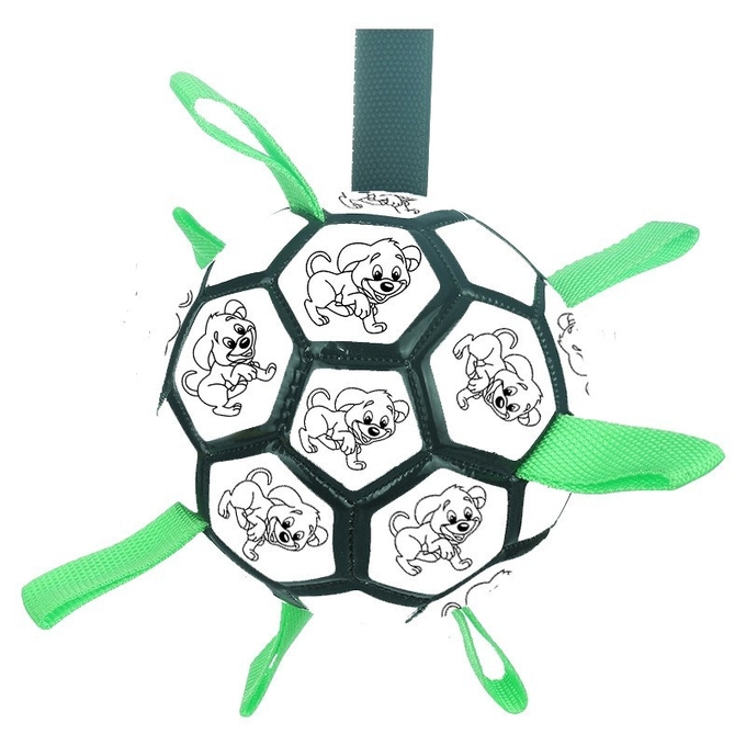 bola grande de la invitación del perro