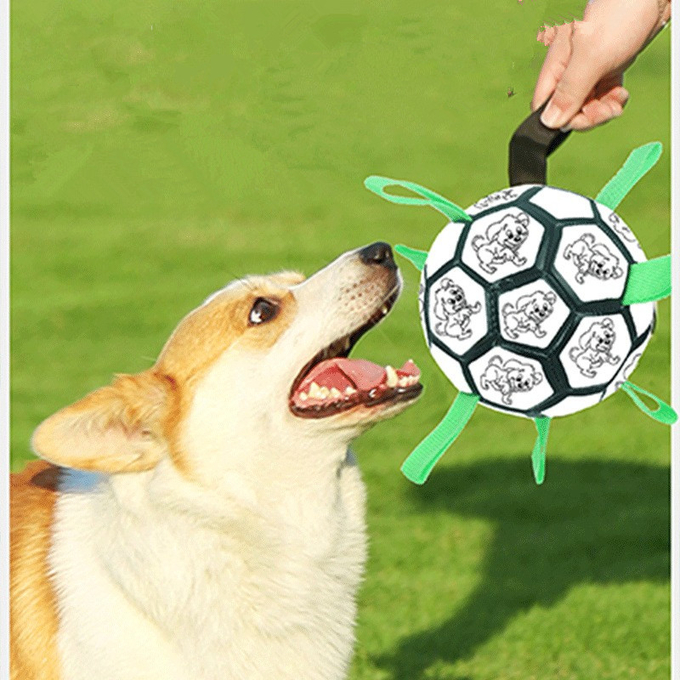  el mejor balón de fútbol del perro