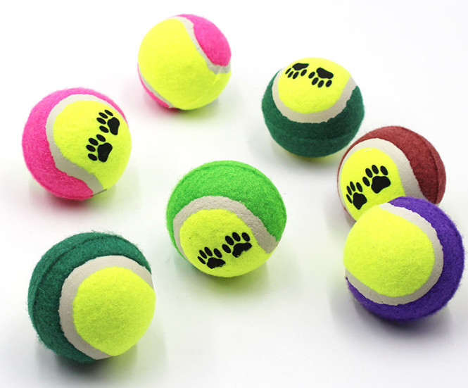 pelotas de tenis del animal doméstico