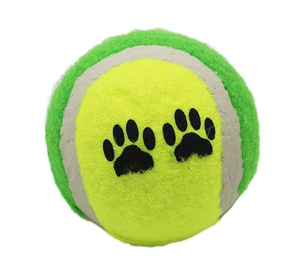 pelotas de tenis del animal doméstico