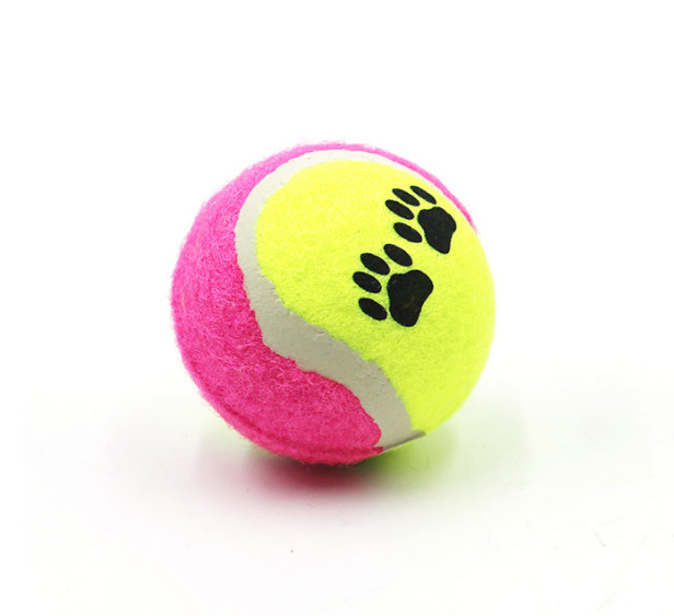 pelotas de tenis del animal doméstico