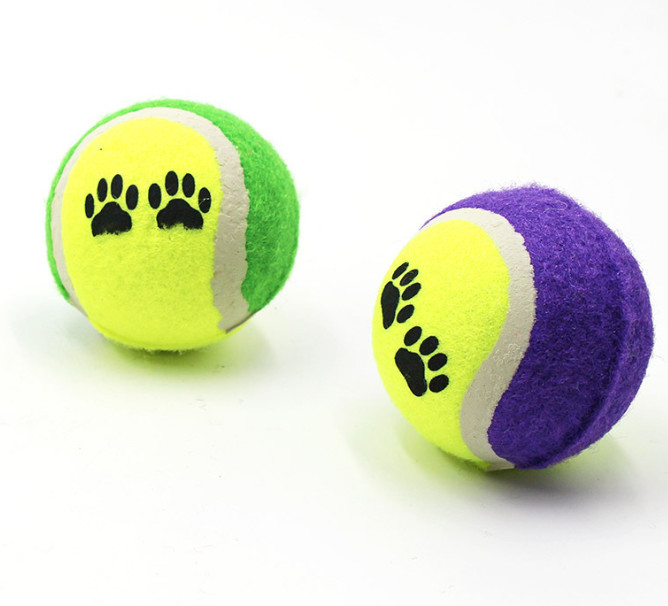 pelotas de tenis del animal doméstico