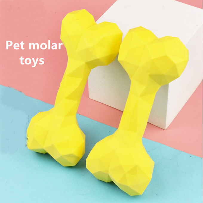 el pequeño perro mastica los huesos