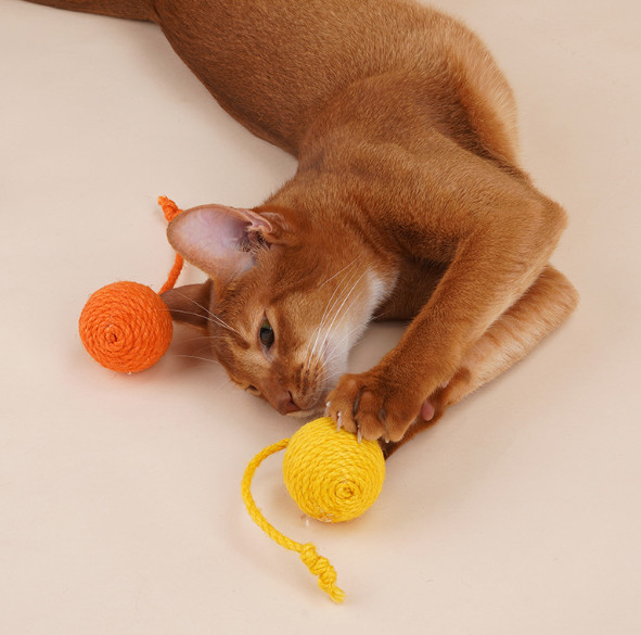 pequeñas bolas del gato