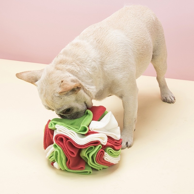 bola de la respiración ruidosa del perro