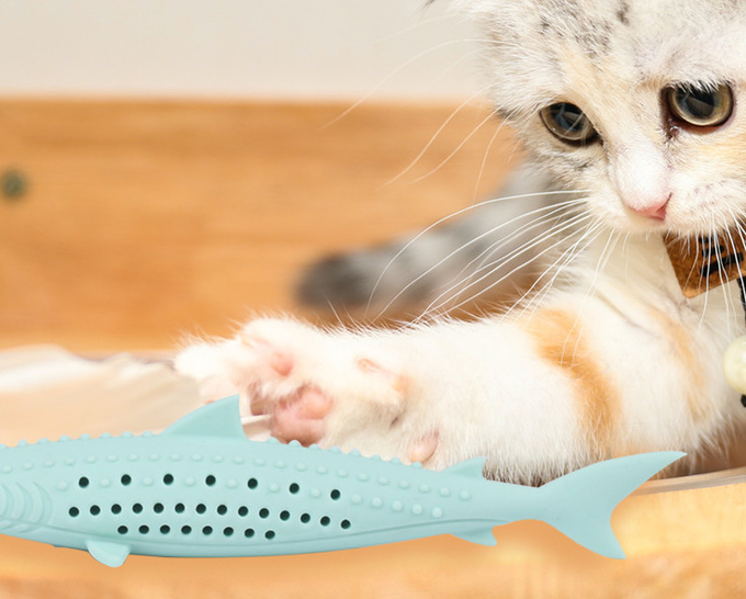 mastique los juguetes para la dentición de los gatitos