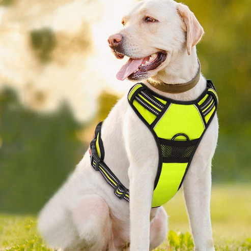 el mejor arnés para los perros grandes que tirón