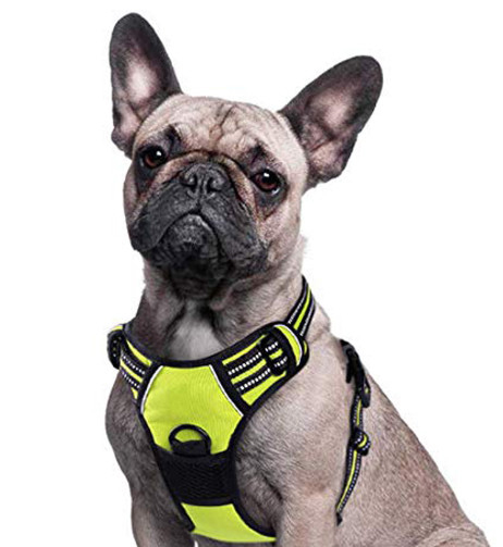 el mejor arnés para los perros grandes que tirón