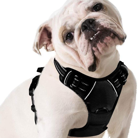 el mejor arnés del perrito para los pequeños perros