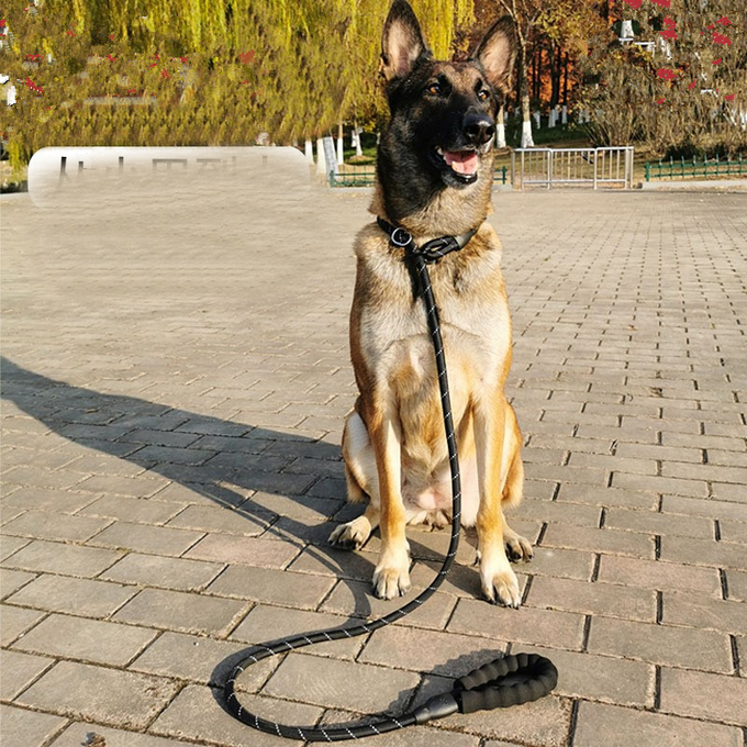 correa de perro fácil de la ventaja