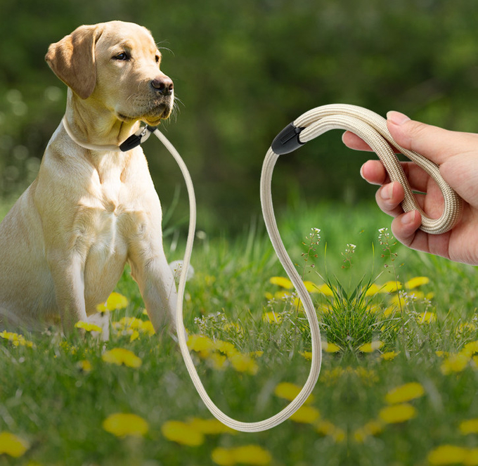la mejor ventaja anti del perro del tirón