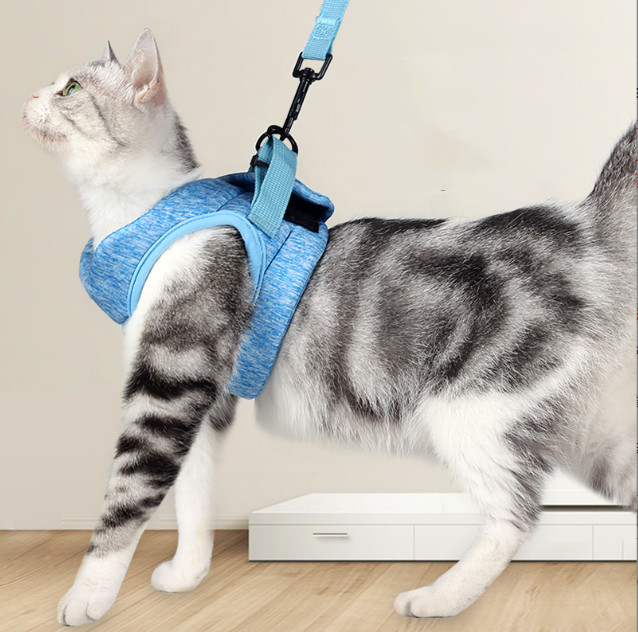 pequeños arnés y ventaja del gato