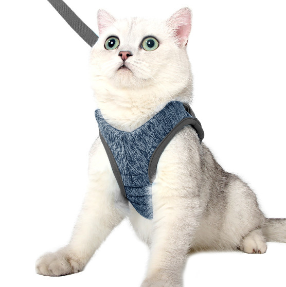 pequeños arnés y ventaja del gato