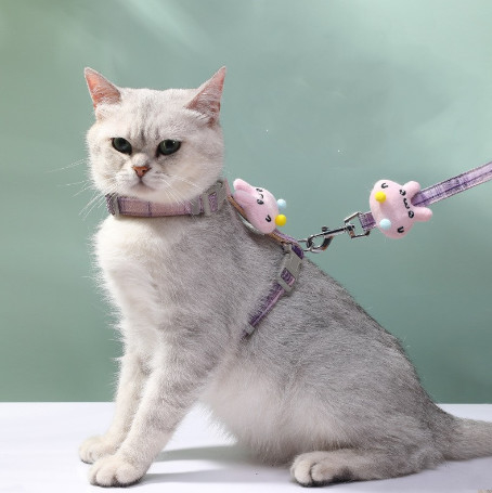 arnés que camina del mejor gato