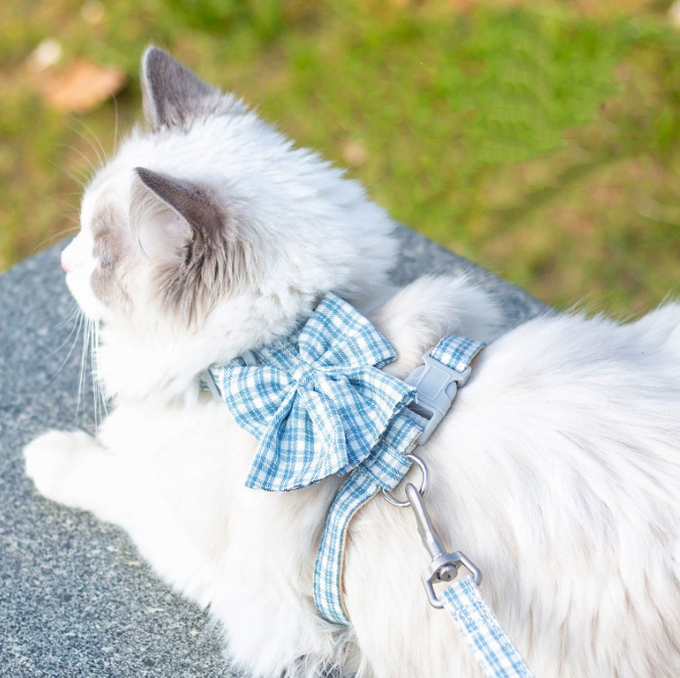 ventaja del gato para el jardín