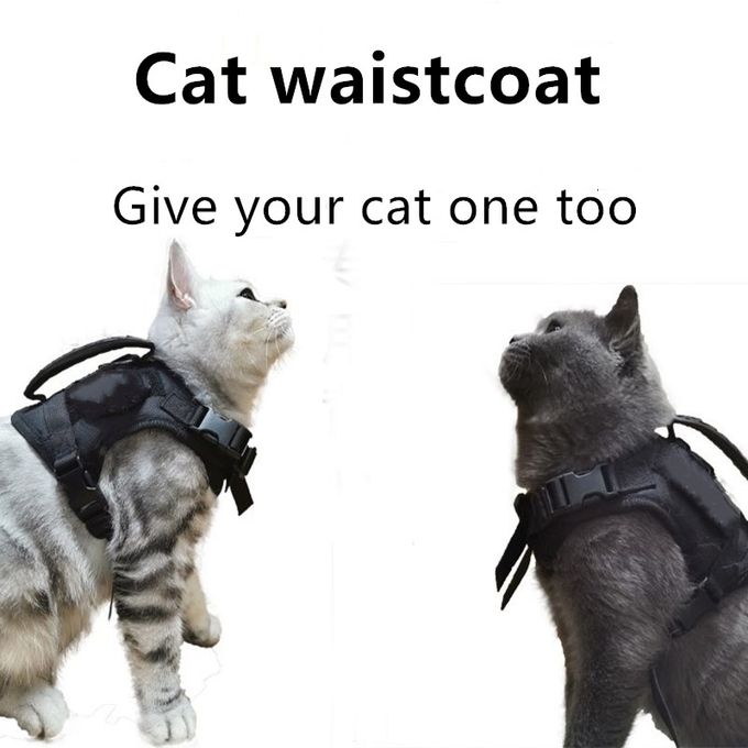 arnés táctico del gato