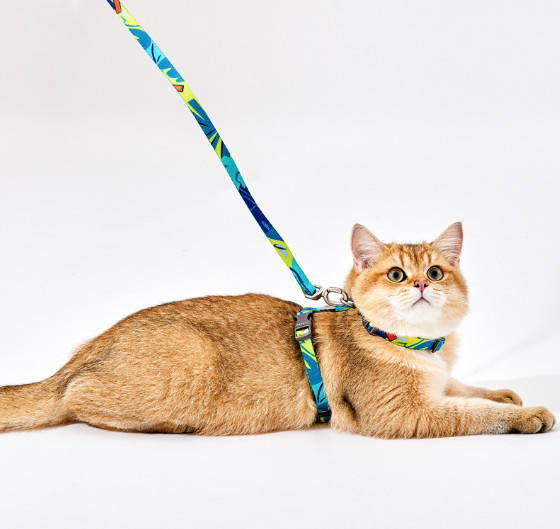 arnés de encargo del gato