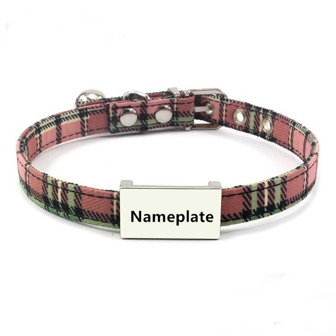 cuello de perro con la placa de identificación