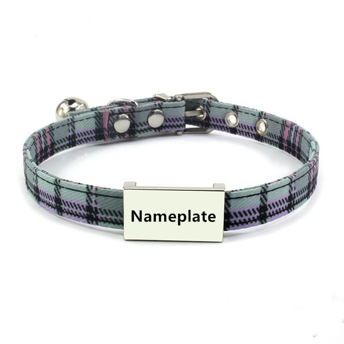 cuello de perro con la placa de identificación