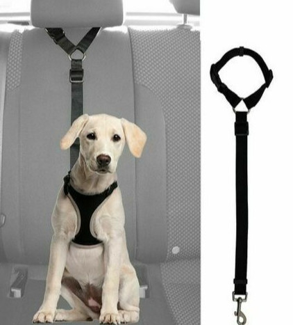 cuellos y arneses de perro del cinturón de seguridad