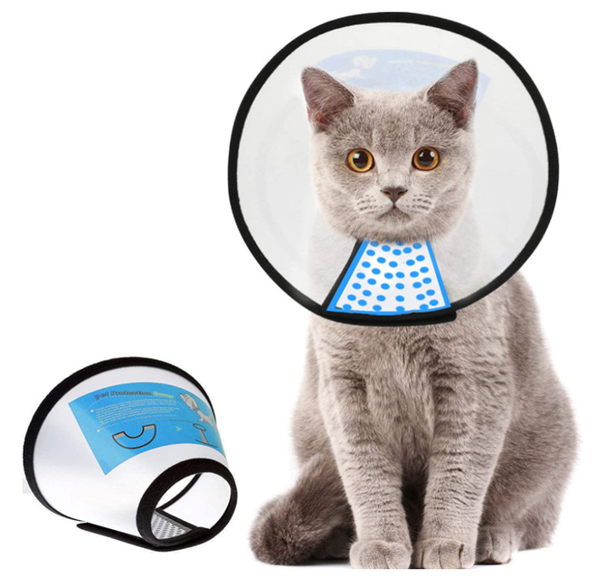 cuello plástico del gato