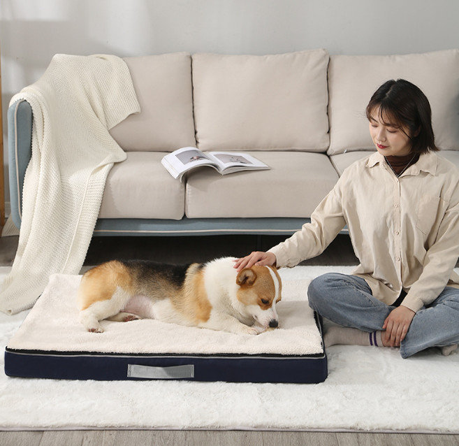 cama del perro del collarín de la espuma de la memoria