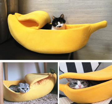 cama indestructible del animal doméstico