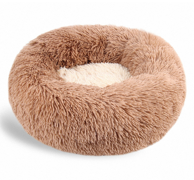Cama de pelo largo del animal doméstico bicolor