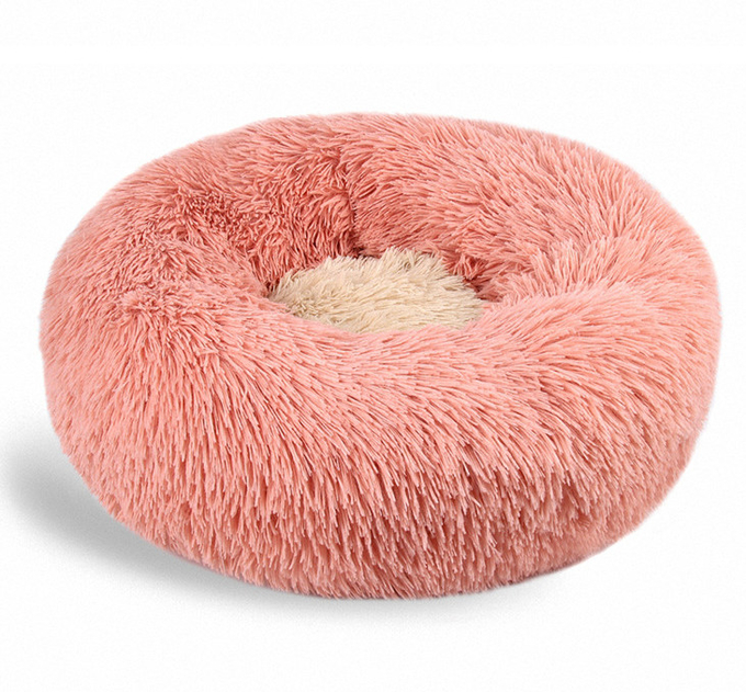 Cama de pelo largo del animal doméstico bicolor