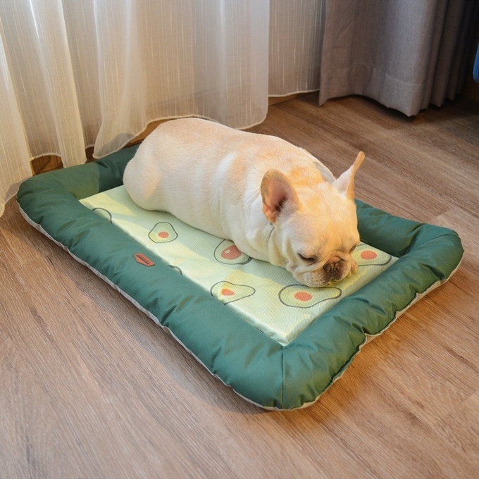 camas del perro de la suposición para los pequeños perros