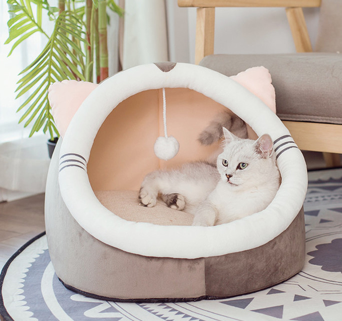 cama del gato del diseñador